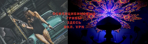 героин Ладушкин