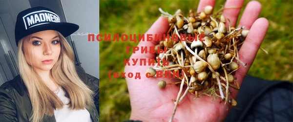 ПСИЛОЦИБИНОВЫЕ ГРИБЫ Кукмор
